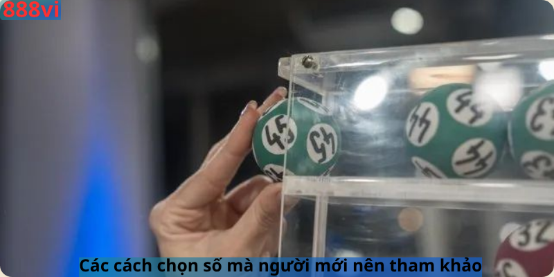 Các cách chọn số mà người mới nên tham khảo