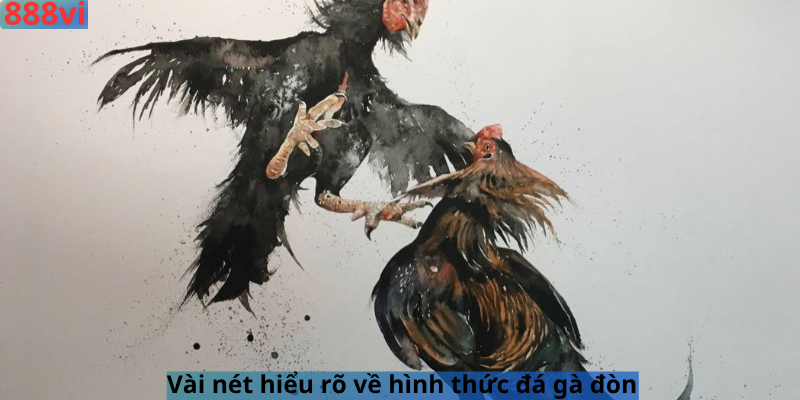 Vài nét hiểu rõ về hình thức đá gà đòn