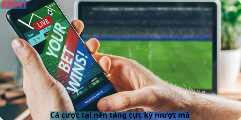 Cá cược tại nền tảng cực kỳ mượt mà